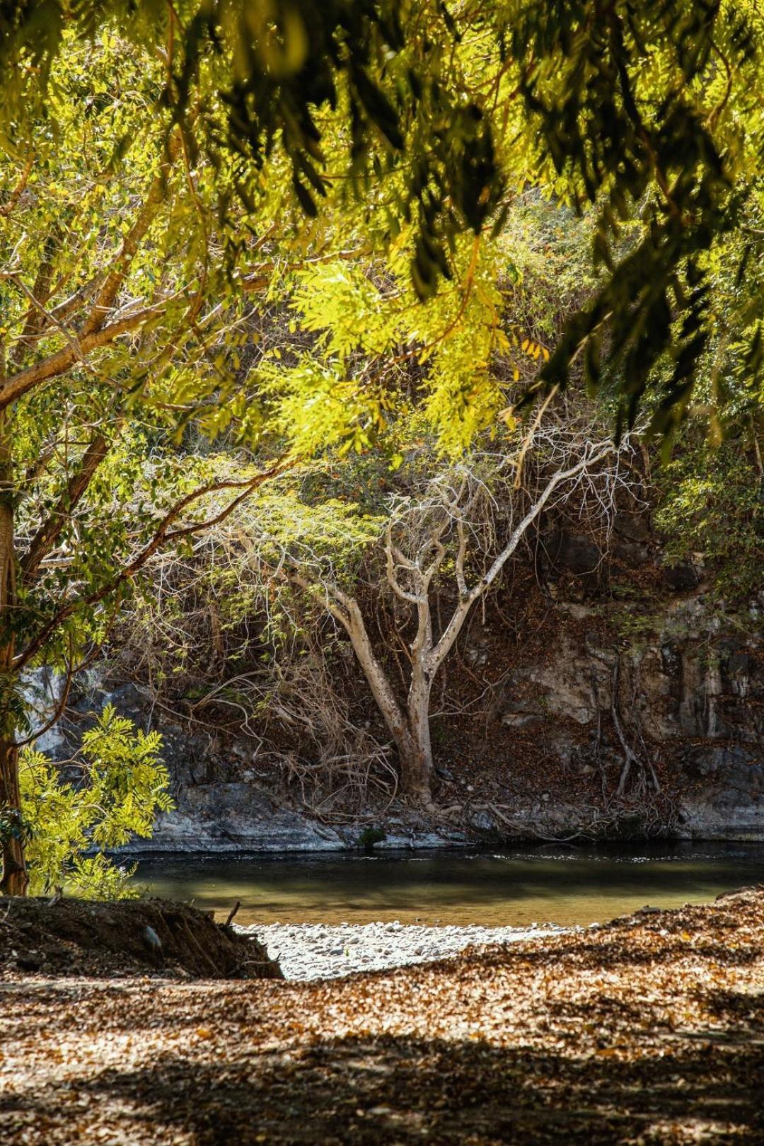 Three-Bedroom Villa,1607339308:JPEG