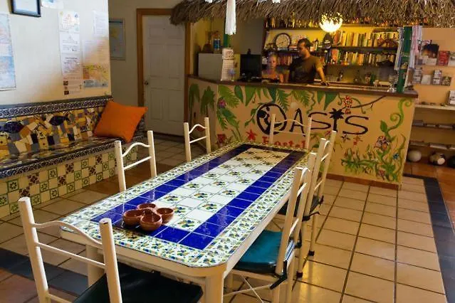 Trip to College Oasis